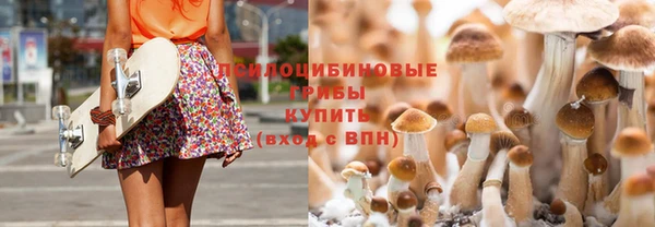 спайс Аркадак