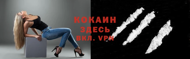 дурь Арсеньев