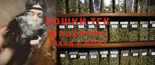 стаф Покачи