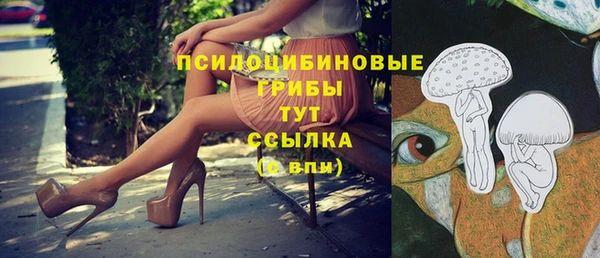 мдпв Армянск