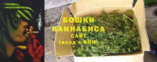дурь Арсеньев