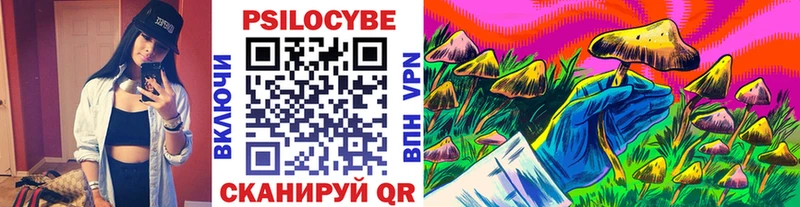 Псилоцибиновые грибы Psilocybine cubensis кракен маркетплейс Перевоз